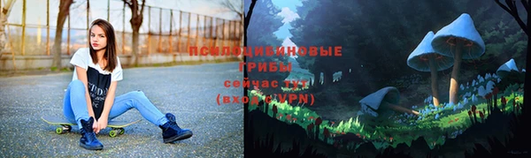 spice Верхний Тагил
