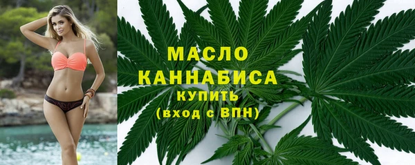 Альфа ПВП Верея
