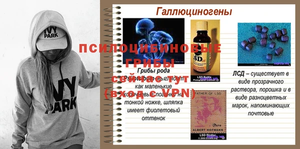 spice Верхний Тагил