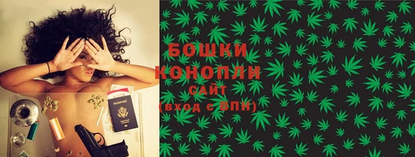 Альфа ПВП Верея